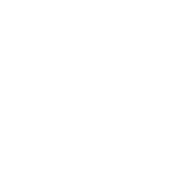 logo-bluthner
